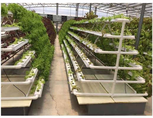 LED υδροπονικό σύστημα με αυτόματη πότιση